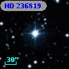 HD 236819
