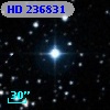 HD 236831