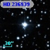 HD 236839