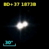 BD+37  1873B