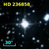 HD 236858