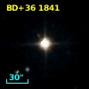 BD+36  1841