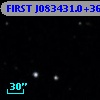 FIRST J083431.0+365836