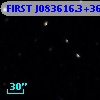 FIRST J083616.3+364931