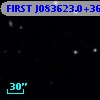 FIRST J083623.0+363803
