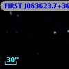 FIRST J083623.7+363752
