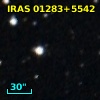 IRAS 01283+5542