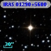 IRAS 01290+5600