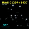 IRAS 01297+5437