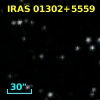 IRAS 01302+5559