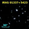 IRAS 01337+5423