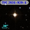 TYC 2831-929-1