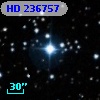 HD 236757
