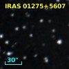 IRAS 01275+5607