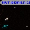 FIRST J083646.5+294249