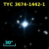 TYC 3674-1442-1