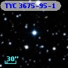 TYC 3675-95-1