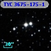 TYC 3675-175-1