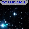 TYC 3675-246-1