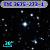 TYC 3675-273-1