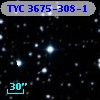 TYC 3675-308-1