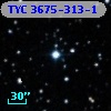 TYC 3675-313-1