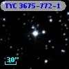 TYC 3675-772-1