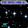 TYC 3675-786-1