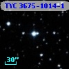 TYC 3675-1014-1