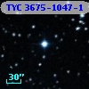 TYC 3675-1047-1