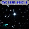 TYC 3675-1087-1