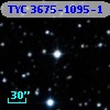 TYC 3675-1095-1
