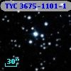 TYC 3675-1101-1