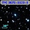 TYC 3675-1123-1