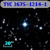 TYC 3675-1214-1