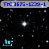 TYC 3675-1239-1