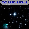 TYC 3675-1258-1