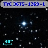 TYC 3675-1269-1
