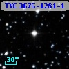 TYC 3675-1281-1