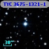 TYC 3675-1321-1