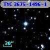 TYC 3675-1496-1