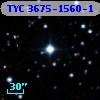 TYC 3675-1560-1