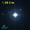 V* CX Cnc