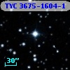 TYC 3675-1604-1