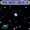 TYC 3675-1677-1