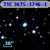 TYC 3675-1746-1