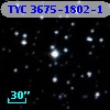 TYC 3675-1802-1