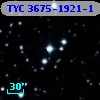 TYC 3675-1921-1