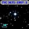 TYC 3675-1987-1