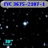 TYC 3675-2107-1